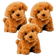 PetCuddle™